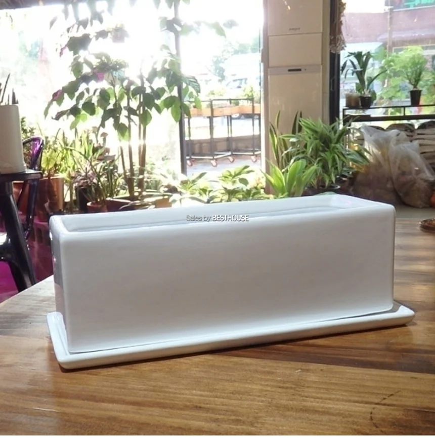 유광도기화분 직사각 30x10x10cm 옆이 넓은 원예 상세3