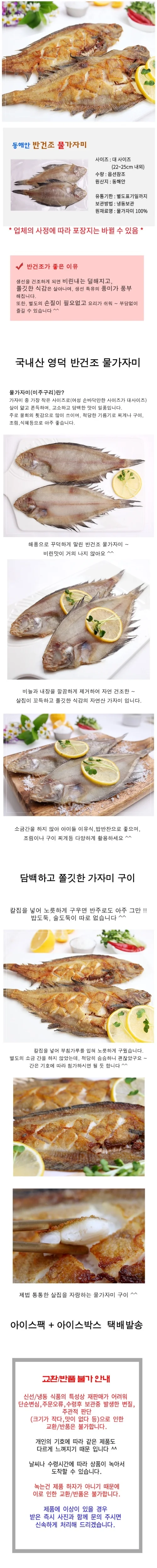 VB 국산 반건조 손질 물가자미 (2미) X3 상세2