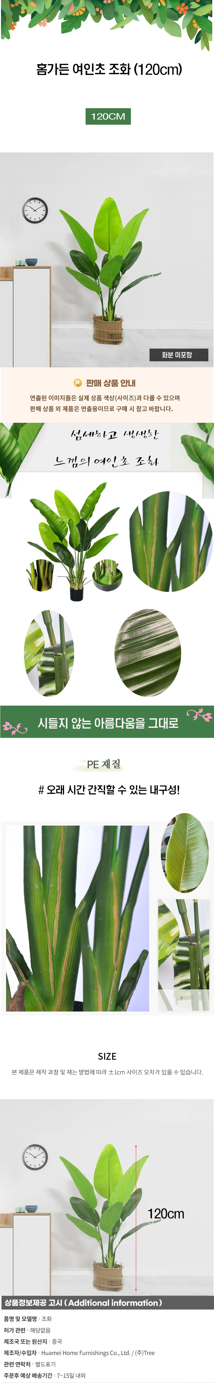 홈가든 여인초 조화 (120cm) 상세1